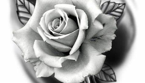 Black and Grey Rose Tattoos | Flowers tattoo | Pinterest | Rose tattoos