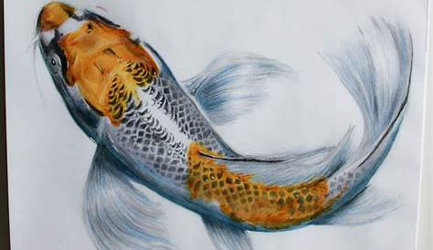 Realistic Fish Drawing at PaintingValley.com | Explore collection of