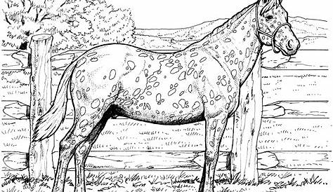 Realistic Horse Pictures To Color ing Pages Download And Print For Free