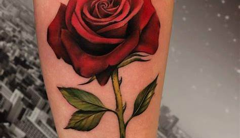 Coloring page | Rose drawing tattoo, Single rose tattoos, Rose drawing