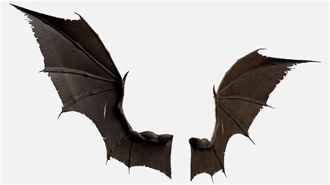 Realistic Bat Wings