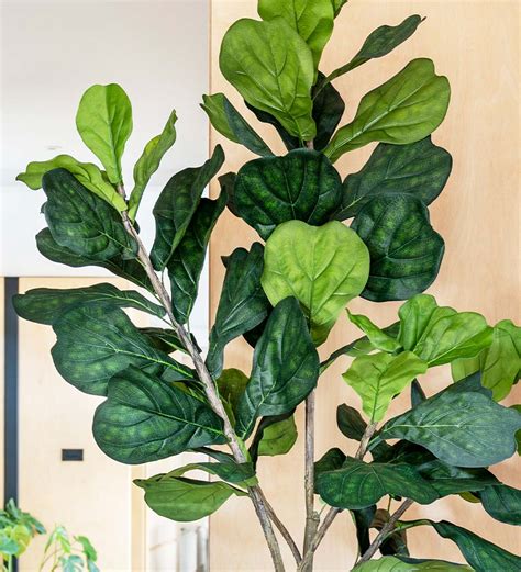 Realistic Faux Fiddle Leaf Fig Tree