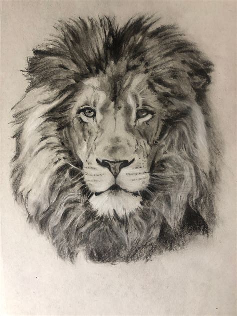 realistic lion face drawing