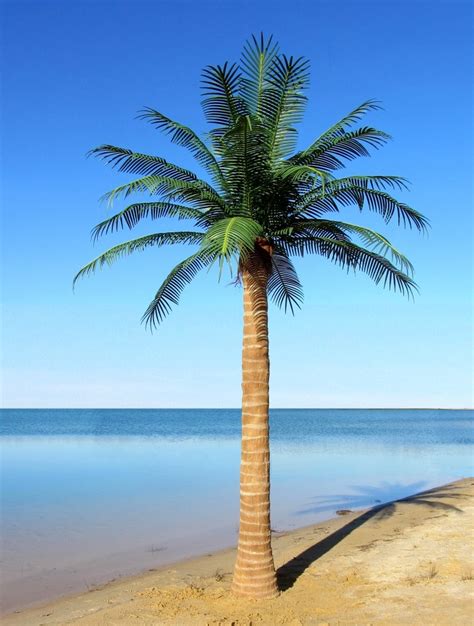 Realistic Looking Artificial Palm Trees