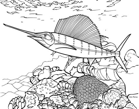 realistic ocean fish coloring pages