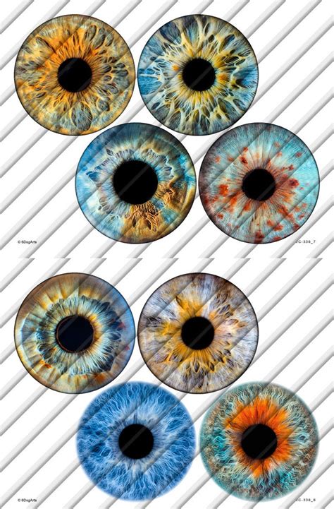 Realistic Printable Eye Iris