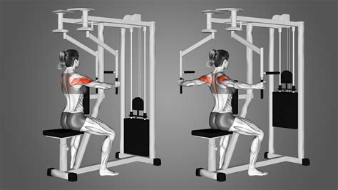 rear delt fly machine