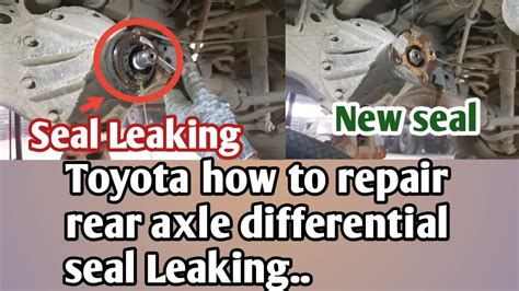 Rear Diff Seals Leaking