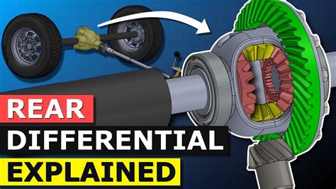 Rear Differential Explained