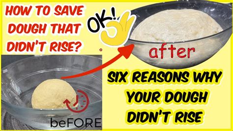 Reason Why Bread Dough Doesn't Rise