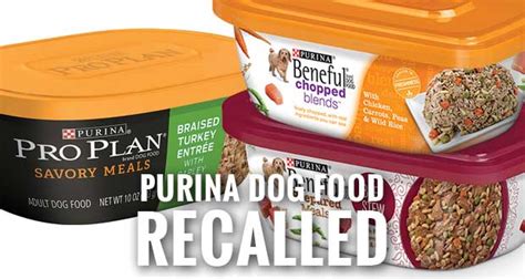 recall purina dog food