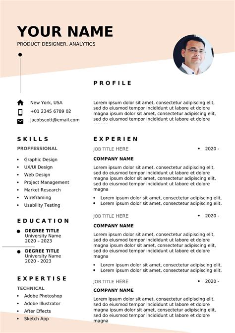 recent cv examples