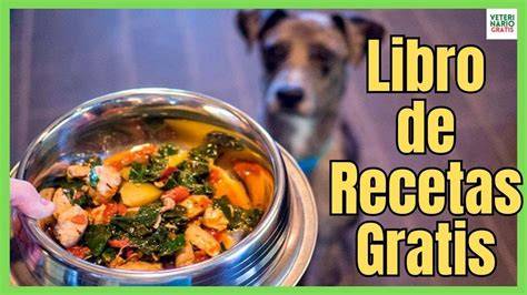 ¿Cómo hacer comida casera para perros? 1001 Perros