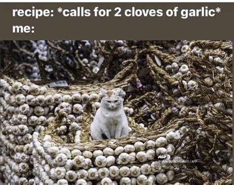Recipe Calls For 2 Cloves Of Garlic Meme