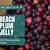 recipe for beach plum jelly