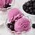 recipe for black raspberry ice cream