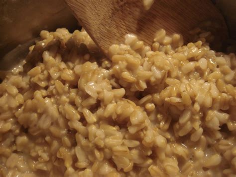 Oats A MustHave Pantry Staple The Provident Prepper