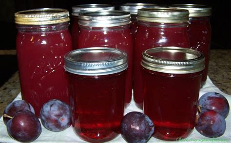 What to do with pounds & pounds of Italian prune plums