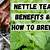 recipe nettle tea