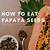 recipe with papaya seeds