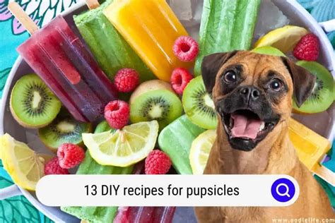 9 Things recipes for dog popsicles for cool happy healthy pups