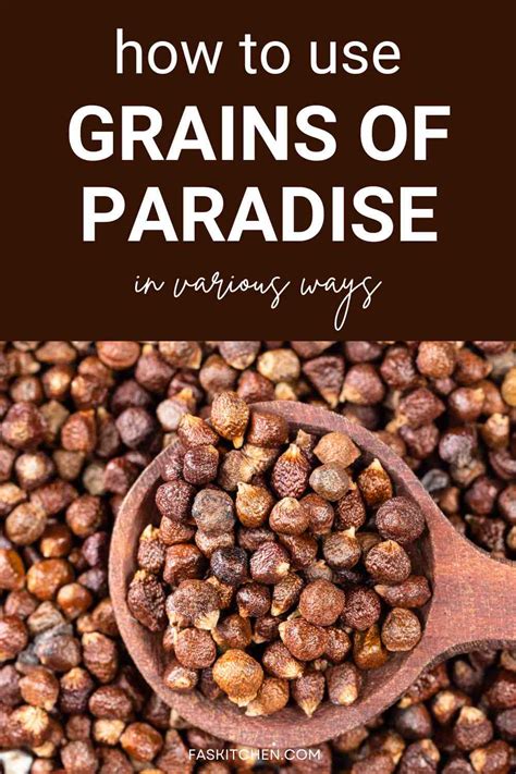 recipes using grains of paradise