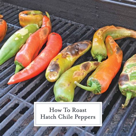 recipes with roasted hatch chiles