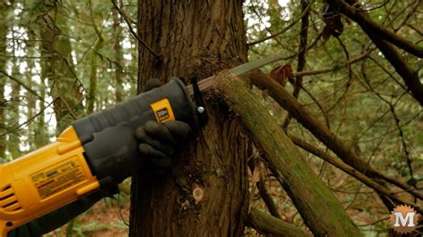 Reciprocating Saw Pruning
