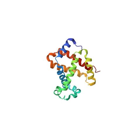 Recombinant Protein A/G