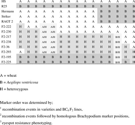 Recombinant Protein Hs Code