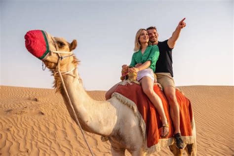 recommendations Desert Safari