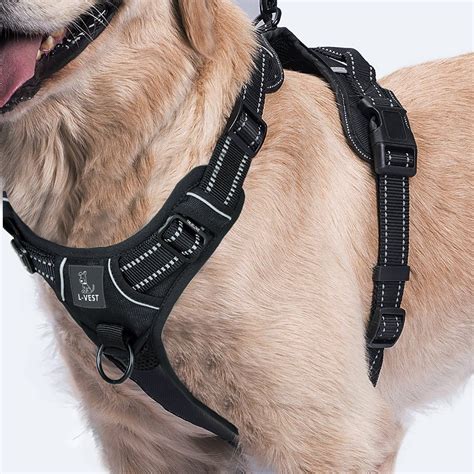 recommended dog harness uk