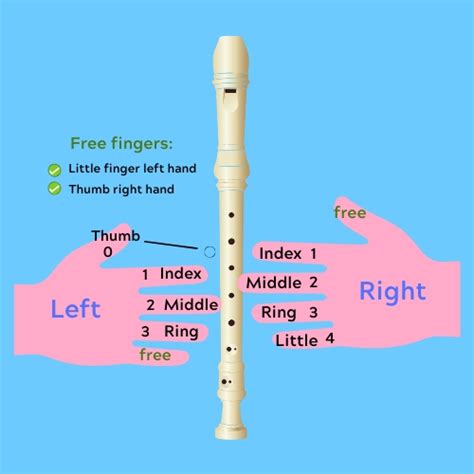 Recorder Basics For Beginners