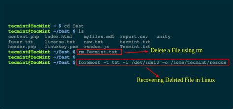 How to recover deleted files in Linux [Beginner
