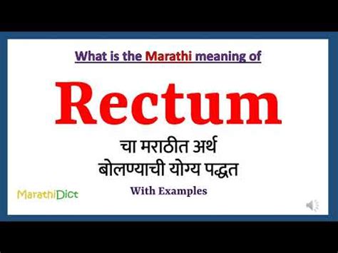 rectal meaning in marathi