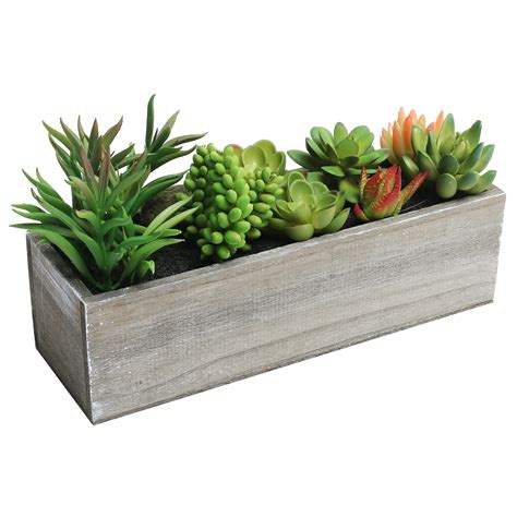 Rectangle Planter Box For Succulents: A Perfect Addition To Your Home Decor In This Year