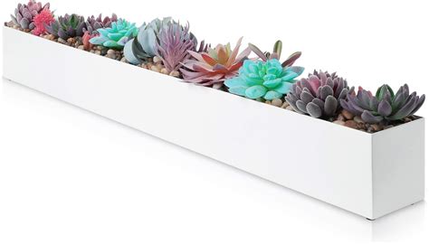 Rectangle Planter Box For Succulents