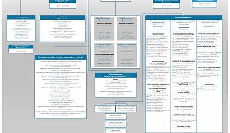 Organigramme de la Direction Générale