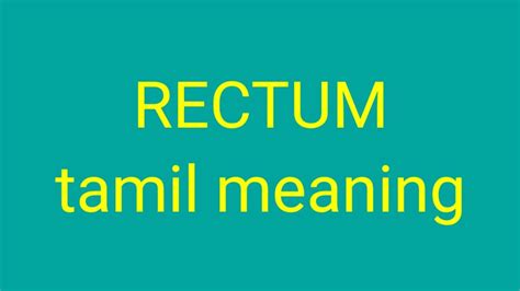 rectum meaning in tamil