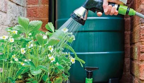 Récupérer l’eau de pluie pour arroser les plantes