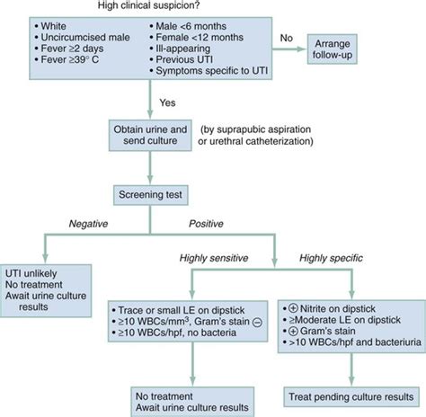 Recurrent Urinary Tract Infection Dx Code