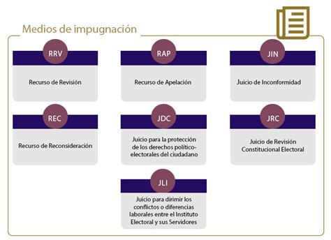 recursos y juicios en materia electoral