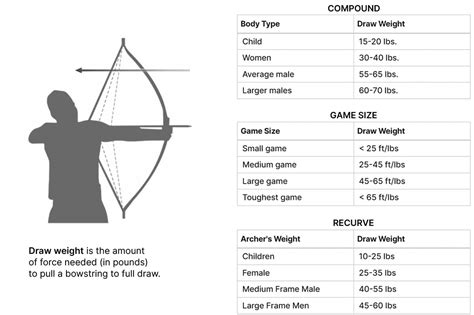 Recurve Bow Weight Chart
