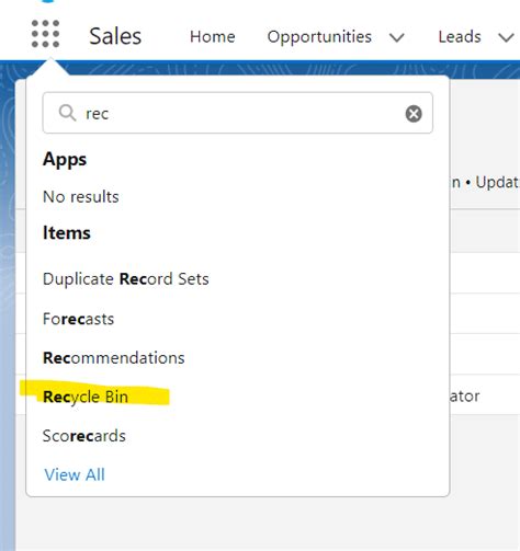 Recycle Bin Salesforce