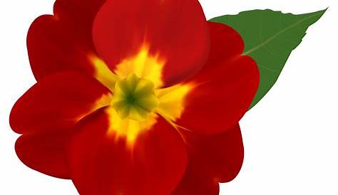 Red Flowers Pics Png / Gold yellow flowers clipart 20 free Cliparts