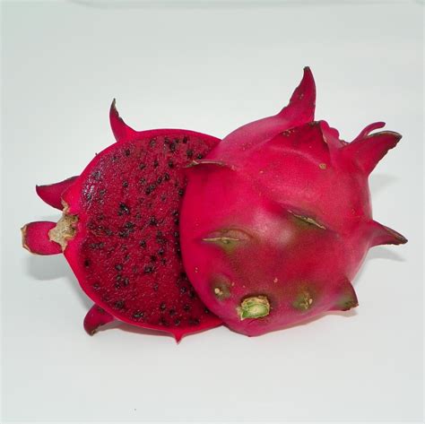 Red Jiana Dragon Fruit Cutting and Plants Nursery, Plants, Health & Beauty Rayton