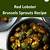 red lobster brussel sprout recipe