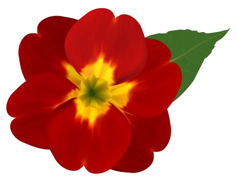 red and yellow flower png