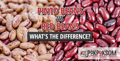 Red Beans Or Pinto Beans