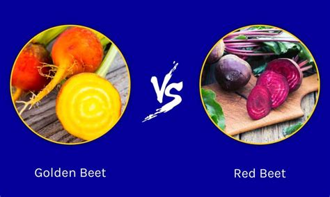 Red Beets And Gout